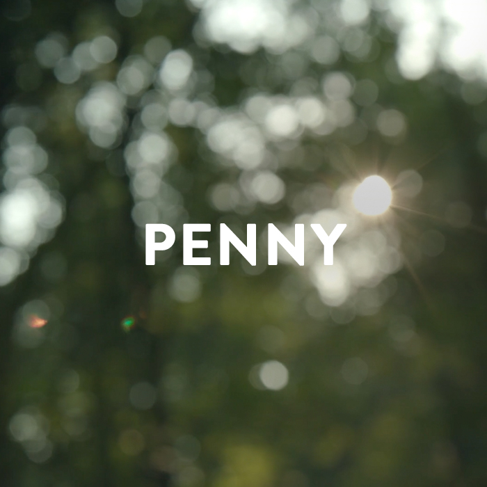 Penny2